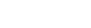 Logo savvi